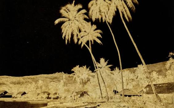 Historic photograph of a French Polynesian coastal village with palm trees